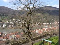 Heidelberger Altstadt